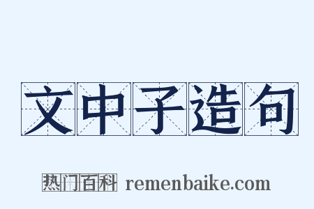 文中子造句是什么意思的图片